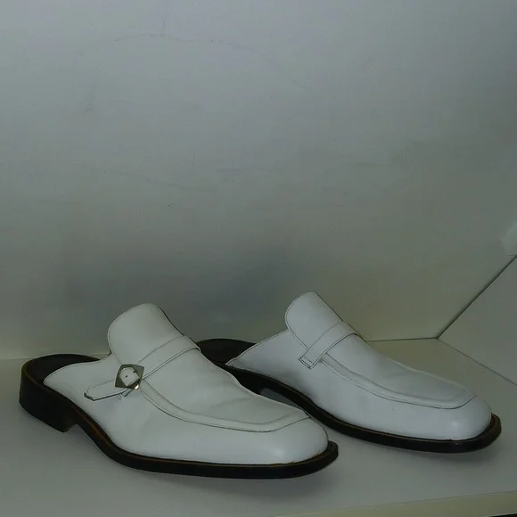 Giorgio Fornasiero\'s \
